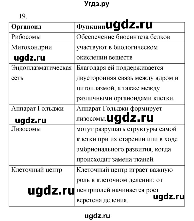 ГДЗ (Решебник) по биологии 6 класс (рабочая тетрадь) Сонин Н.И. / номер / 19