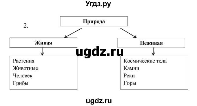 ГДЗ (Решебник) по биологии 6 класс (рабочая тетрадь) Сонин Н.И. / номер / 2