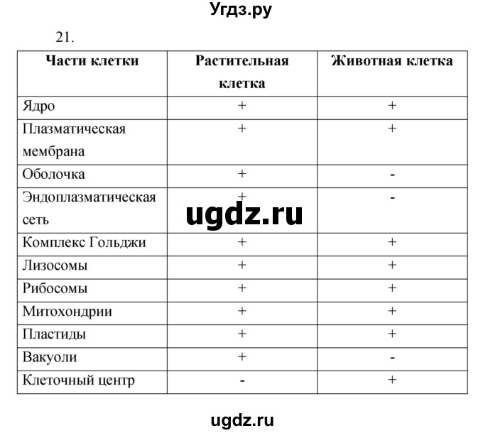 ГДЗ (Решебник) по биологии 6 класс (рабочая тетрадь) Сонин Н.И. / номер / 21