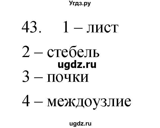 ГДЗ (Решебник) по биологии 6 класс (рабочая тетрадь) Сонин Н.И. / номер / 43