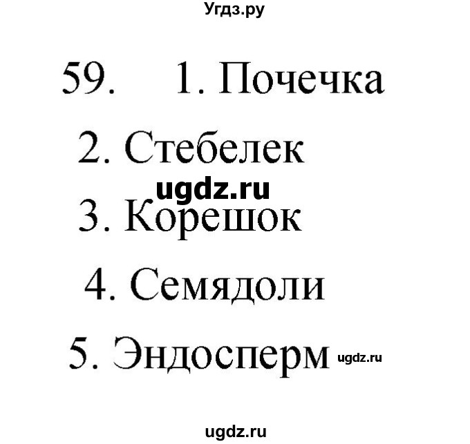 ГДЗ (Решебник) по биологии 6 класс (рабочая тетрадь) Сонин Н.И. / номер / 59