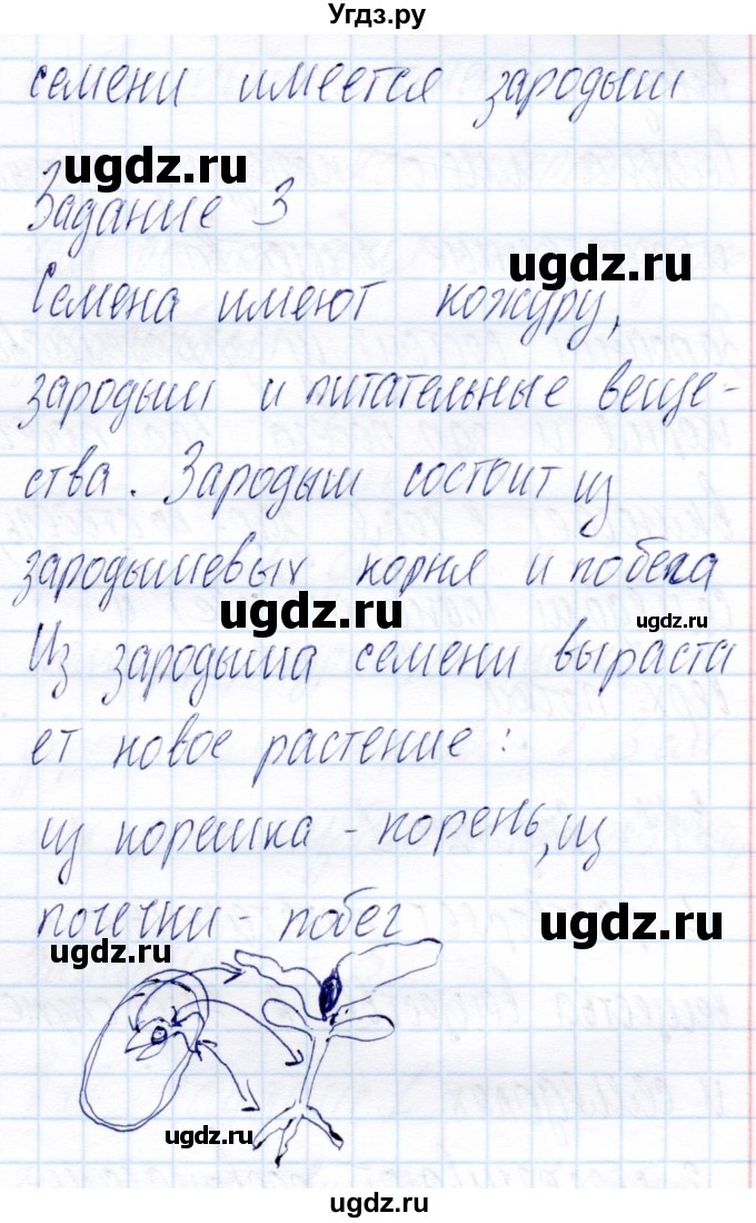 ГДЗ (Решебник) по биологии 6 класс (рабочая тетрадь) Пономарева И.Н. / часть 1. страница / 21(продолжение 2)