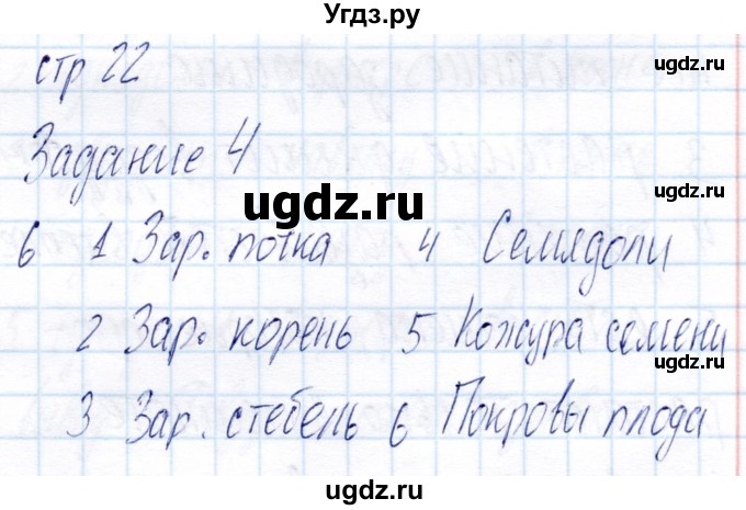 ГДЗ (Решебник) по биологии 6 класс (рабочая тетрадь) Пономарева И.Н. / часть 1. страница / 22