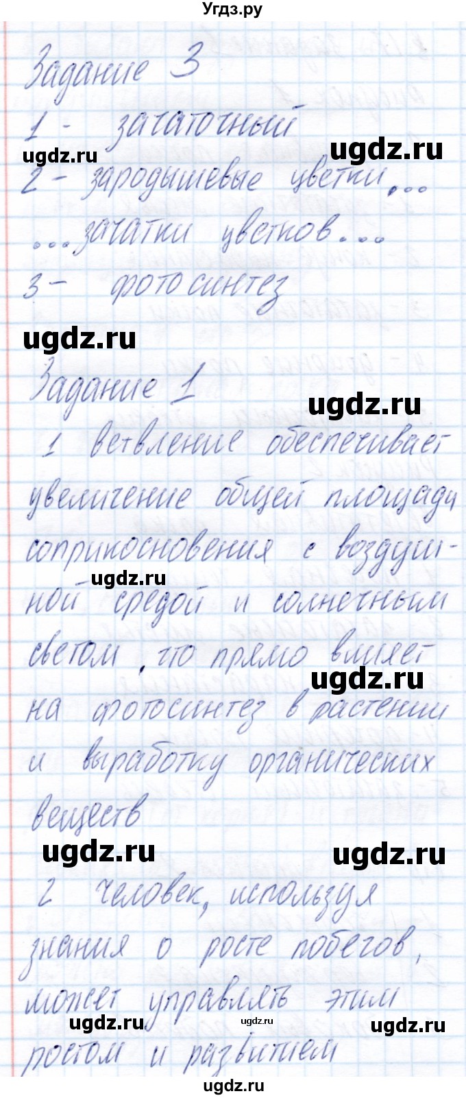 ГДЗ (Решебник) по биологии 6 класс (рабочая тетрадь) Пономарева И.Н. / часть 1. страница / 34(продолжение 2)