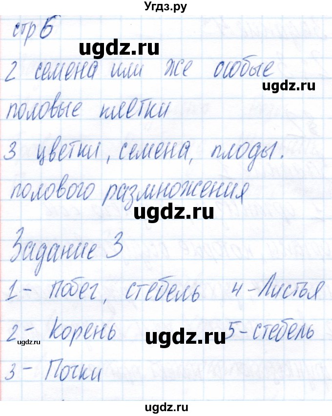 ГДЗ (Решебник) по биологии 6 класс (рабочая тетрадь) Пономарева И.Н. / часть 1. страница / 6