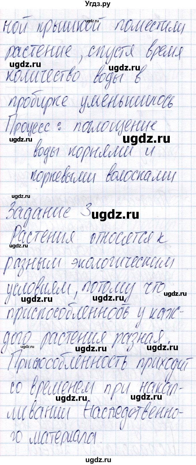 ГДЗ (Решебник) по биологии 6 класс (рабочая тетрадь) Пономарева И.Н. / часть 1. страница / 60(продолжение 2)