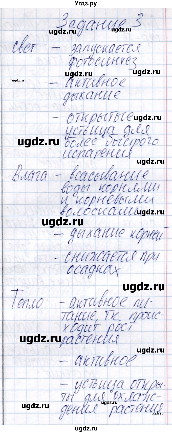 ГДЗ (Решебник) по биологии 6 класс (рабочая тетрадь) Пономарева И.Н. / часть 2. страница / 11(продолжение 2)