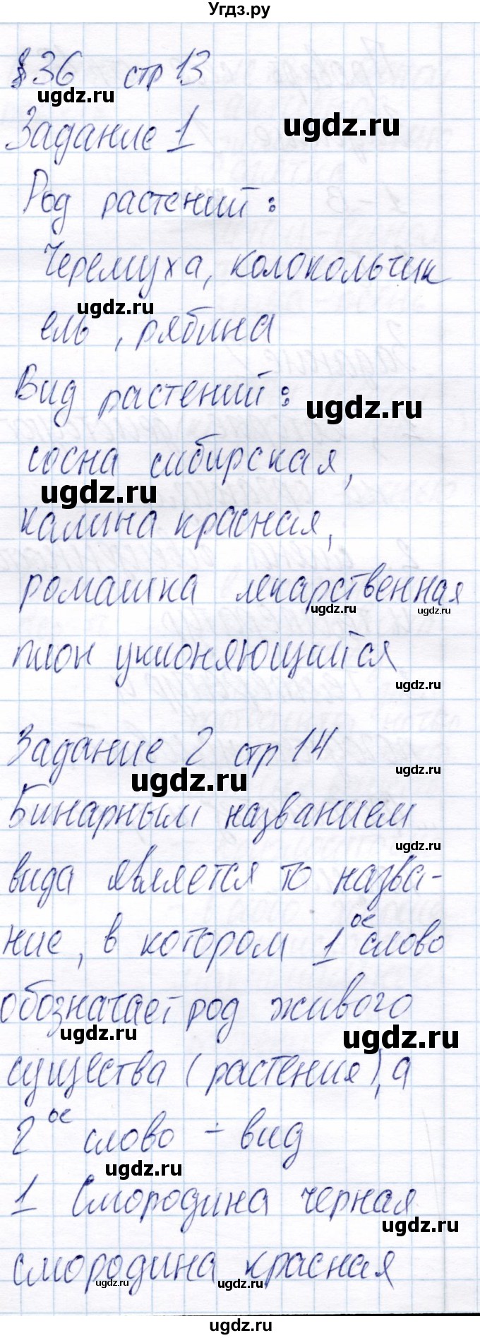 ГДЗ (Решебник) по биологии 6 класс (рабочая тетрадь) Пономарева И.Н. / часть 2. страница / 13