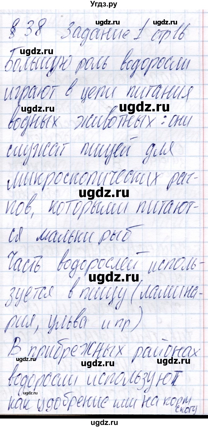 ГДЗ (Решебник) по биологии 6 класс (рабочая тетрадь) Пономарева И.Н. / часть 2. страница / 16