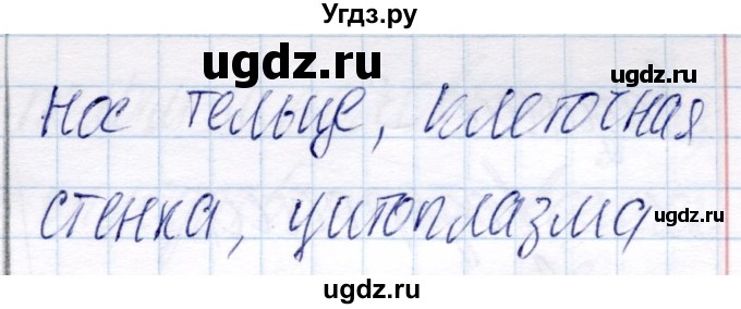 ГДЗ (Решебник) по биологии 6 класс (рабочая тетрадь) Пономарева И.Н. / часть 2. страница / 17(продолжение 2)