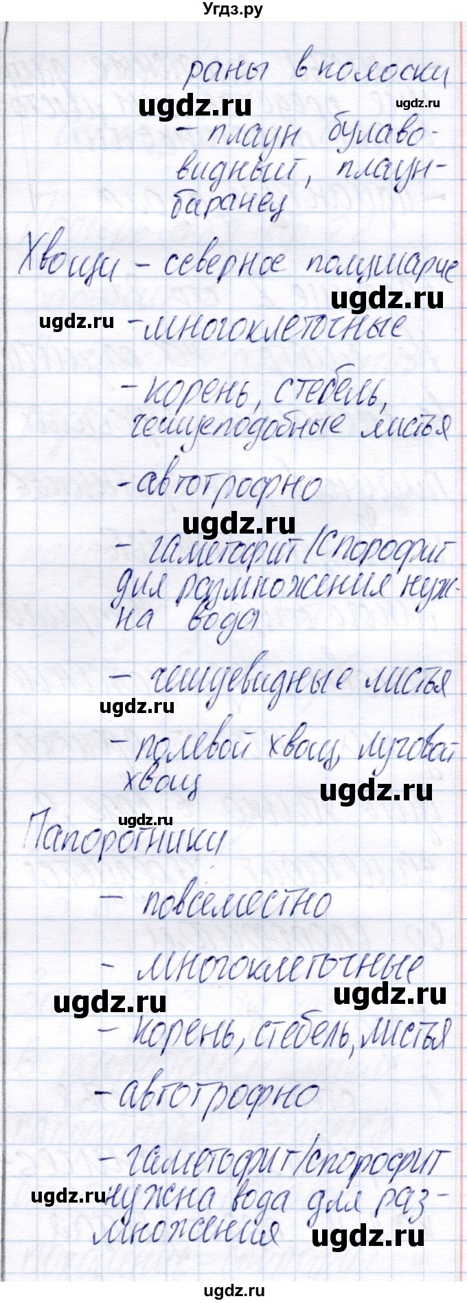 ГДЗ (Решебник) по биологии 6 класс (рабочая тетрадь) Пономарева И.Н. / часть 2. страница / 20(продолжение 2)