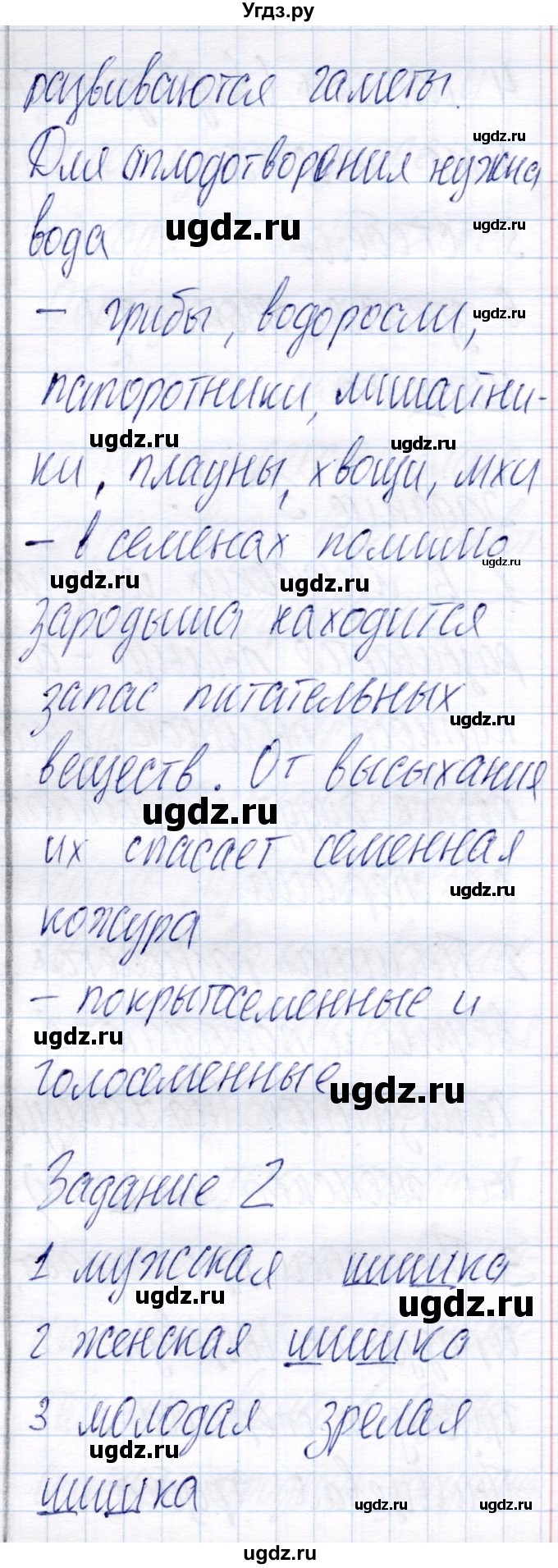 ГДЗ (Решебник) по биологии 6 класс (рабочая тетрадь) Пономарева И.Н. / часть 2. страница / 23(продолжение 2)