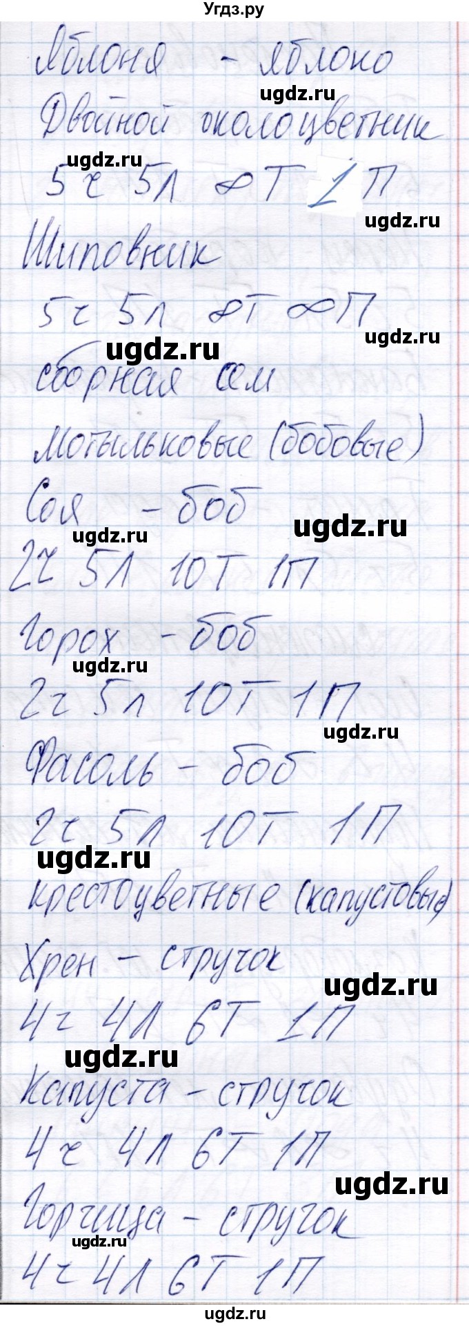 ГДЗ (Решебник) по биологии 6 класс (рабочая тетрадь) Пономарева И.Н. / часть 2. страница / 28(продолжение 2)