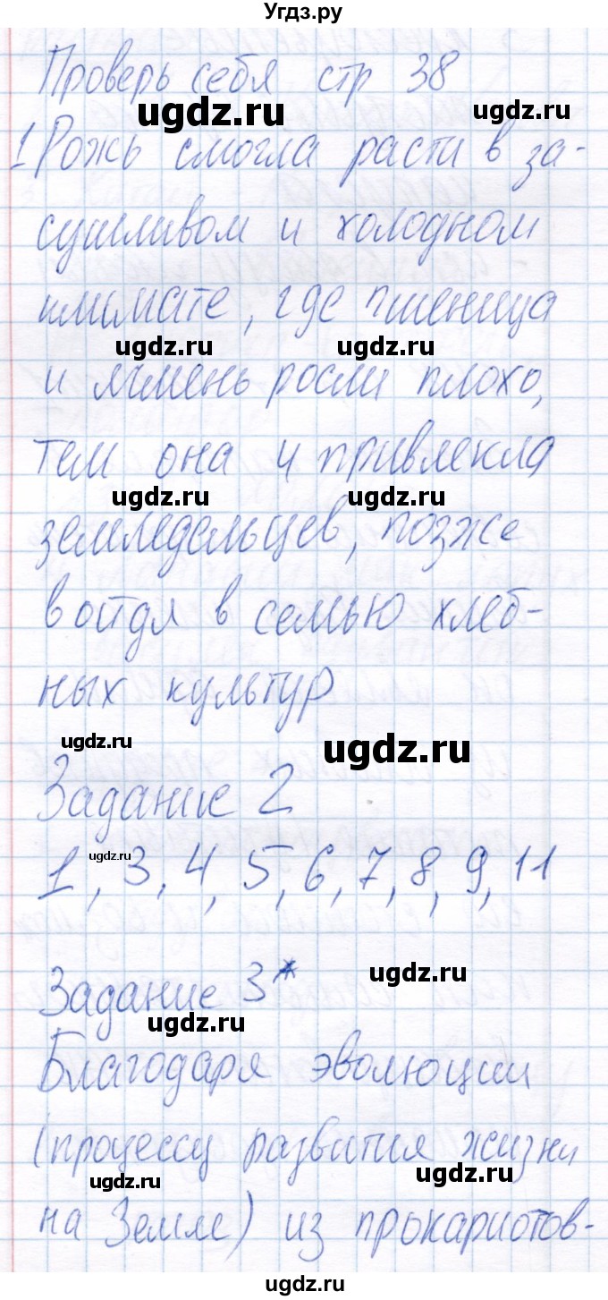 ГДЗ (Решебник) по биологии 6 класс (рабочая тетрадь) Пономарева И.Н. / часть 2. страница / 38