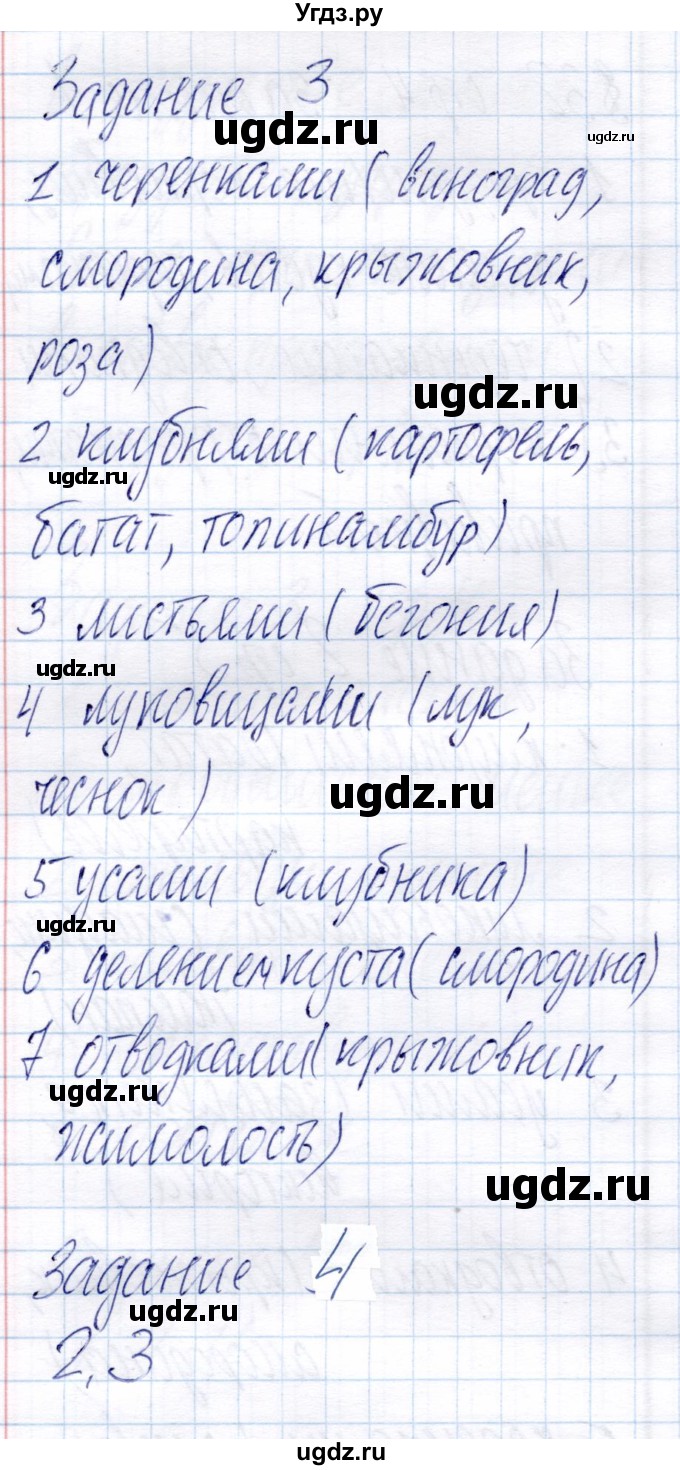 ГДЗ (Решебник) по биологии 6 класс (рабочая тетрадь) Пономарева И.Н. / часть 2. страница / 5(продолжение 2)