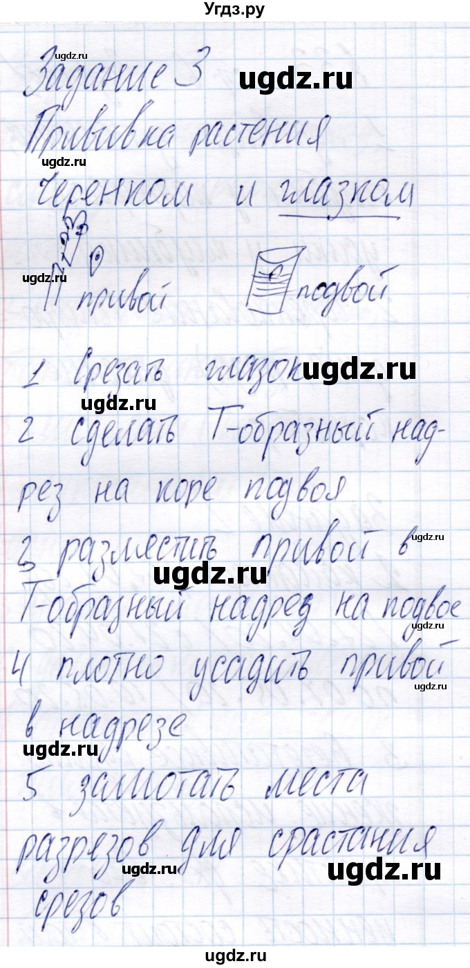 ГДЗ (Решебник) по биологии 6 класс (рабочая тетрадь) Пономарева И.Н. / часть 2. страница / 7