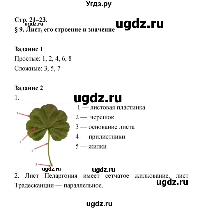 ГДЗ (Решебник) по биологии 6 класс (рабочая тетрадь) Пономарева И.Н. / часть 1 страница-№ / 21