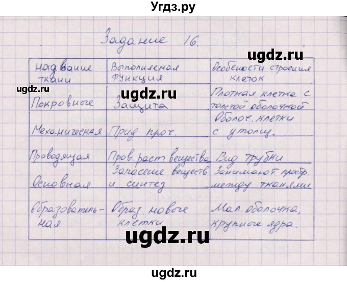 ГДЗ (Решебник) по биологии 6 класс (рабочая тетрадь) В.В. Пасечник / задание / 16