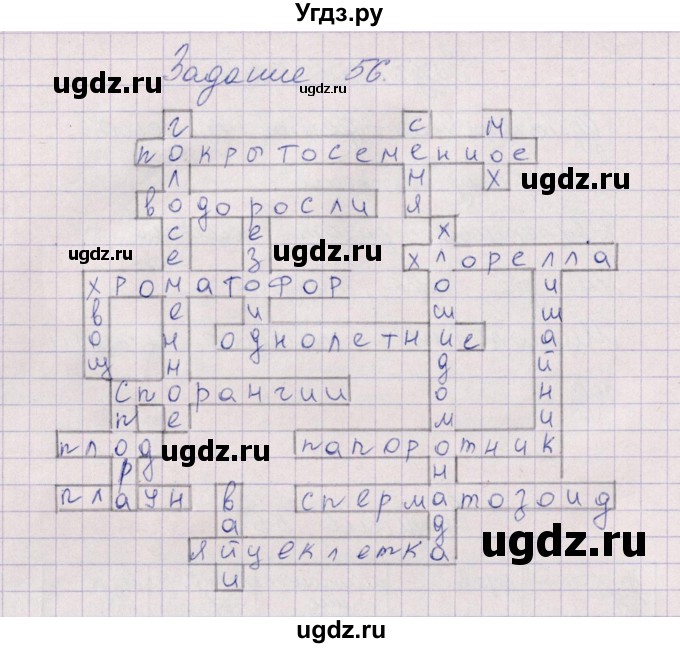 ГДЗ (Решебник) по биологии 6 класс (рабочая тетрадь) В.В. Пасечник / задание / 56