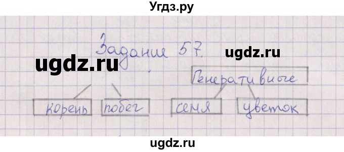 ГДЗ (Решебник) по биологии 6 класс (рабочая тетрадь) В.В. Пасечник / задание / 57