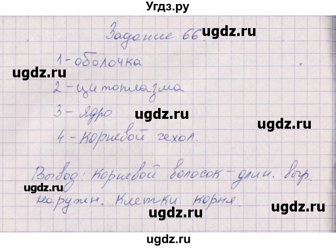 ГДЗ (Решебник) по биологии 6 класс (рабочая тетрадь) В.В. Пасечник / задание / 66