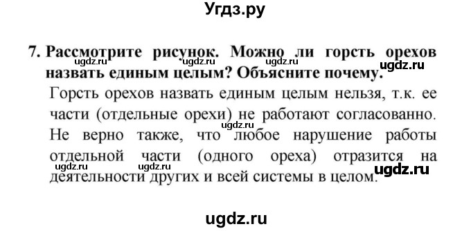 ГДЗ (решебник) по биологии 6 класс Н.И. Сонин / §20.Организм как единое целое / 7