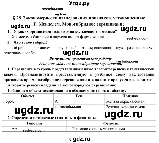 ГДЗ (Решебник) по биологии 9 класс В.В. Пасечник / § / § 28