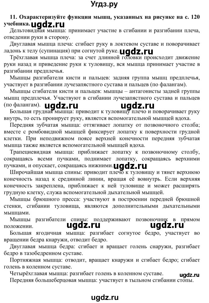 ГДЗ (Решебник) по биологии 9 класс Сапин М.Р. / Мышцы / 11