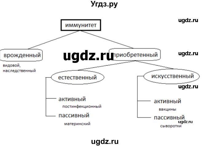 ГДЗ (Решебник) по биологии 9 класс Сапин М.Р. / Иммунитет / 3(продолжение 2)