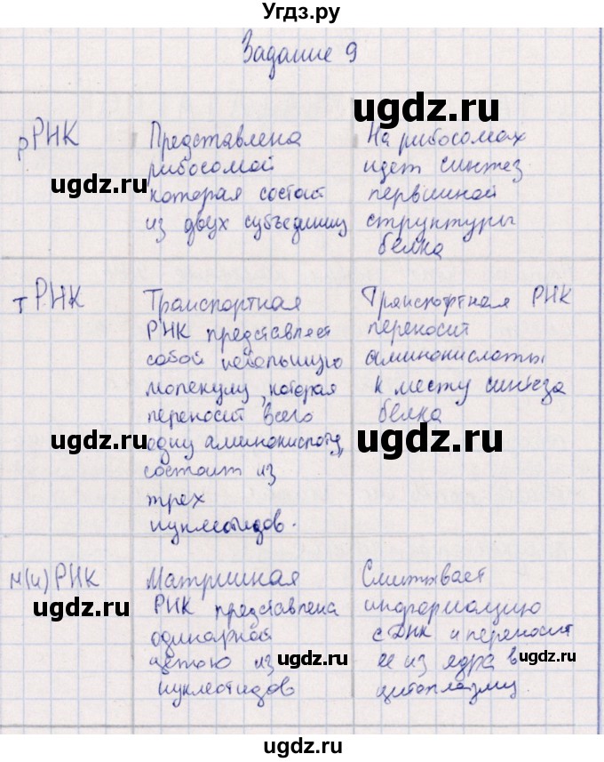 ГДЗ (Решебник) по биологии 10 класс (рабочая тетрадь) В.И. Сивоглазова / глава 2 / стр. 42 / 9