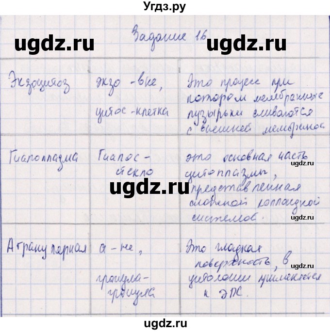 ГДЗ (Решебник) по биологии 10 класс (рабочая тетрадь) В.И. Сивоглазова / глава 2 / стр. 48 / 16