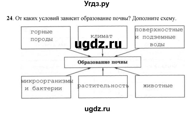 ГДЗ (Решебник) по географии 6 класс (рабочая тетрадь) Дронов В.П. / биосфера (задание) / 24