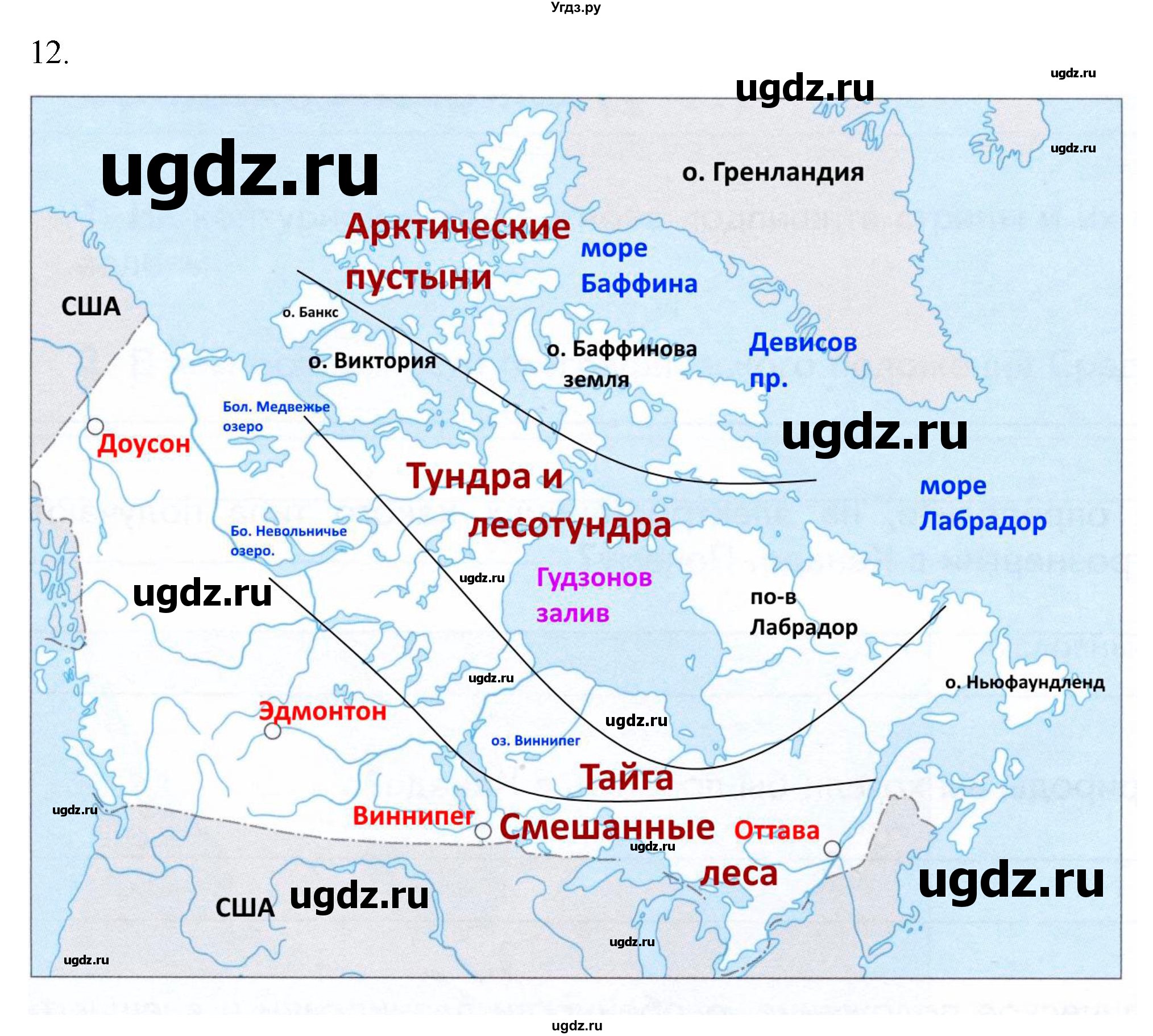 ГДЗ (Решебник к тетради 2022) по географии 7 класс (рабочая тетрадь) Душина И.В. / тетрадь 2022 / часть 2. страница / 49(продолжение 2)