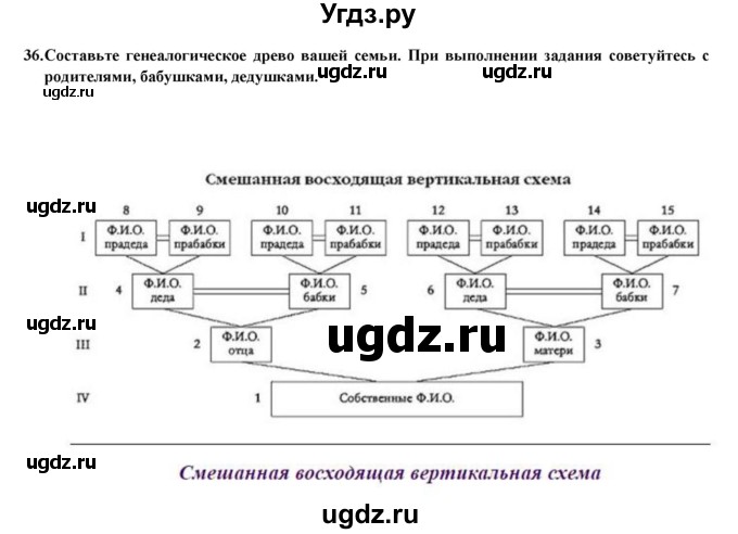 ГДЗ (Решебник) по географии 8 класс (мой тренажер (тетрадь)) Николина В. В. / россияне / 36