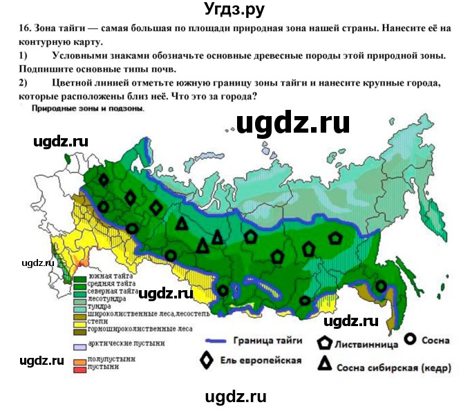 ГДЗ (Решебник) по географии 8 класс (мой тренажер (тетрадь)) Николина В. В. / природно-хозяйственные зоны / 16