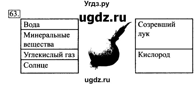 ГДЗ (Решебник 2017) по информатике 6 класс (рабочая тетрадь) Л.Л. Босова / задание / 63