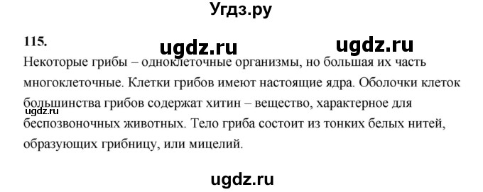 ГДЗ (Решебник 2022) по информатике 6 класс (рабочая тетрадь) Л.Л. Босова / задание / 115
