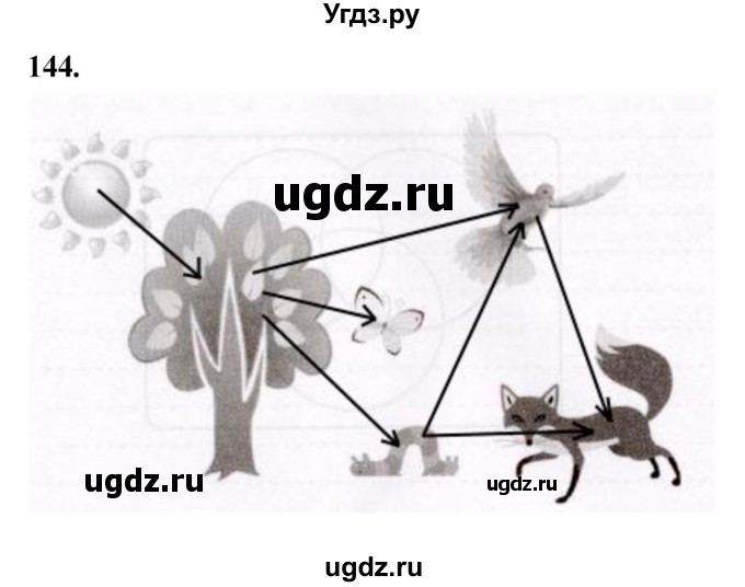 ГДЗ (Решебник 2022) по информатике 6 класс (рабочая тетрадь) Л.Л. Босова / задание / 144