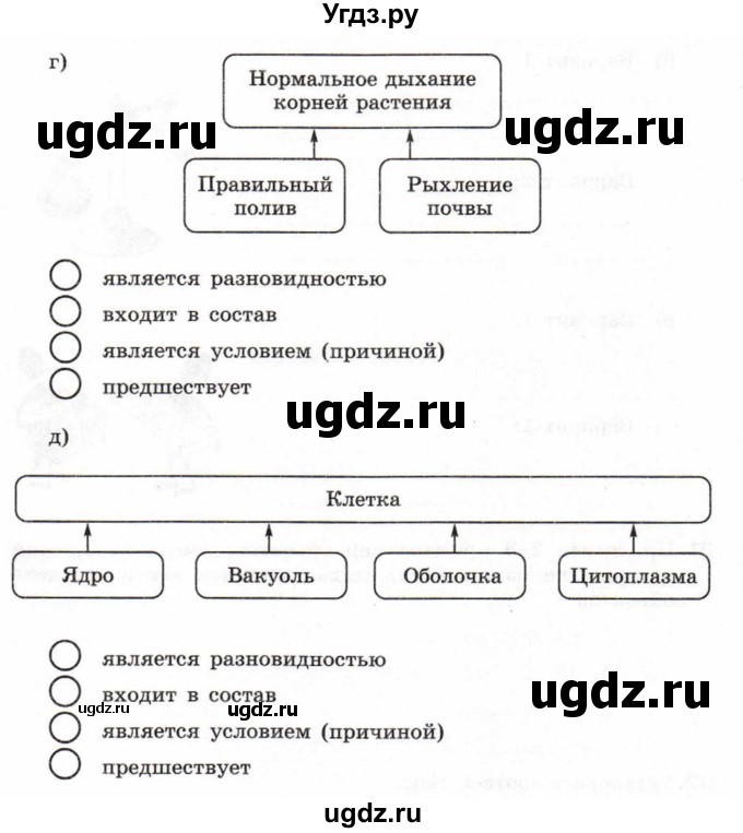 ГДЗ (Учебник) по информатике 6 класс Л.Л. Босова / Рабочая тетрадь / 29(продолжение 2)