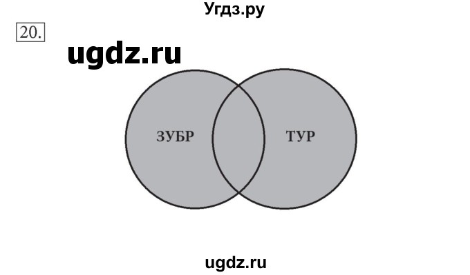 ГДЗ (решебник) по информатике 7 класс (рабочая тетрадь) Л.Л. Босова / номер-№ / 20