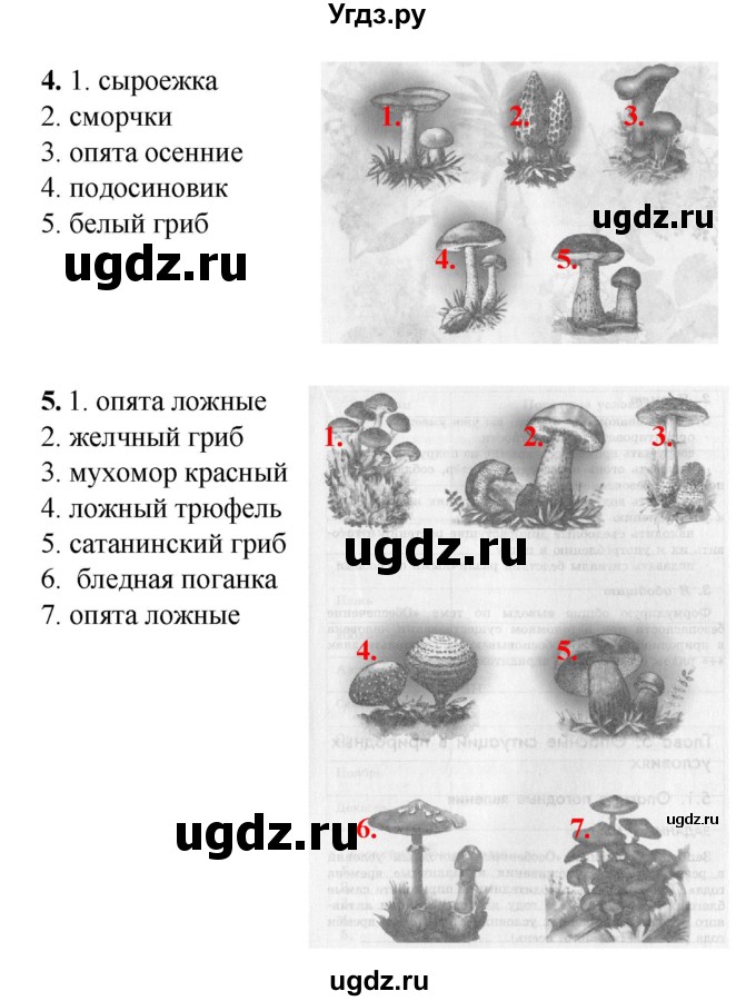 ГДЗ (Решебник) по обж 6 класс (рабочая тетрадь) Смирнов А.Т. / страница номер / 50-51