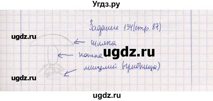 ГДЗ (Решебник) по природоведению 5 класс (рабочая тетрадь) Т.С. Сухова / задание / 134