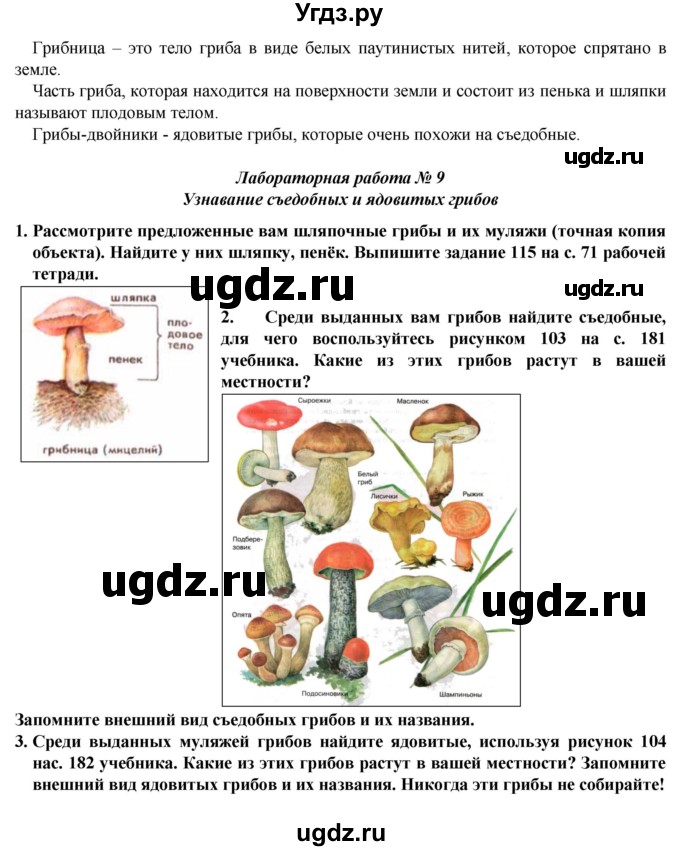 ГДЗ (Решебник) по естествознанию 5 класс В. М. Пакулова / § / 43(продолжение 2)