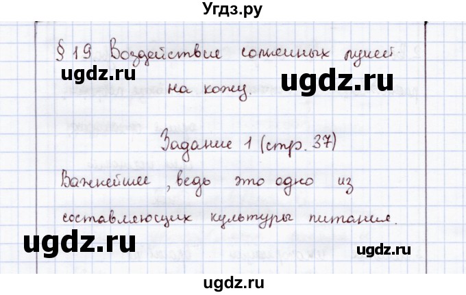 ГДЗ (Решебник) по экологии 8 класс (рабочая тетрадь) Воронина Г.А. / параграф 19 (задание) / 1