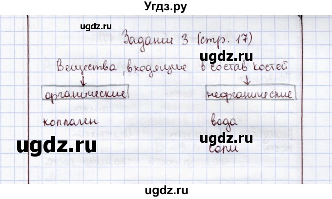 ГДЗ (Решебник) по экологии 8 класс (рабочая тетрадь) Воронина Г.А. / параграф 9 (задание) / 3