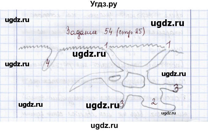 ГДЗ (Решебник) по экологии 7 класс (рабочая тетрадь) Кучменко В.С. / задание / 54