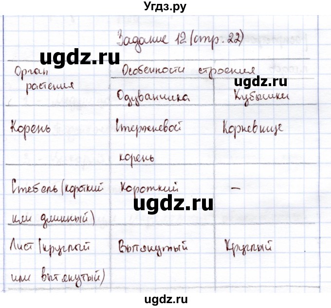 ГДЗ (Решебник) по экологии 6 класс (рабочая тетрадь) Горская Н.А. / страница / 22