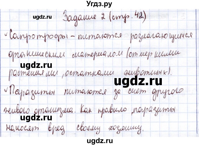 ГДЗ (Решебник) по экологии 6 класс (рабочая тетрадь) Горская Н.А. / страница / 42