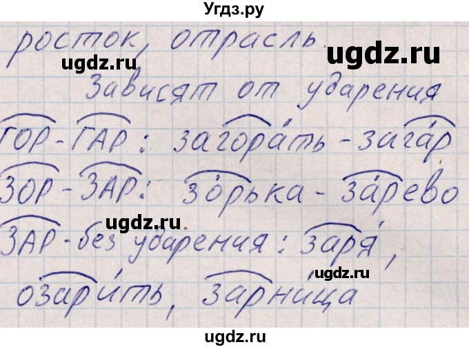 ГДЗ (Решебник) по русскому языку 8 класс (рабочая тетрадь ) Богданова Г.А. / часть 1 / упражнение / 1(продолжение 3)