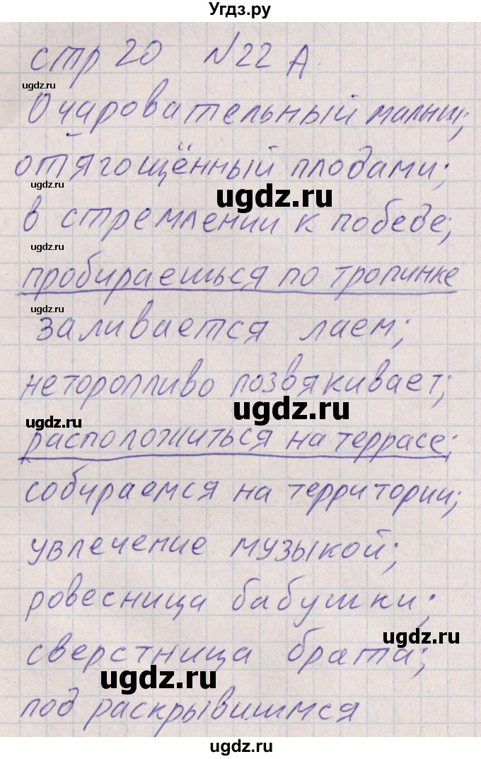 ГДЗ (Решебник) по русскому языку 8 класс (рабочая тетрадь ) Богданова Г.А. / часть 1 / упражнение / 22